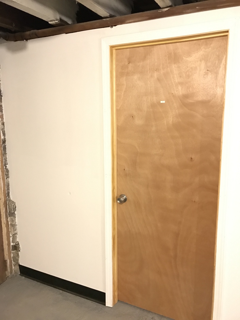 2215 South Albany Avenue, Unit 1F Chicago, IL 60623 - Photo 18 of 19