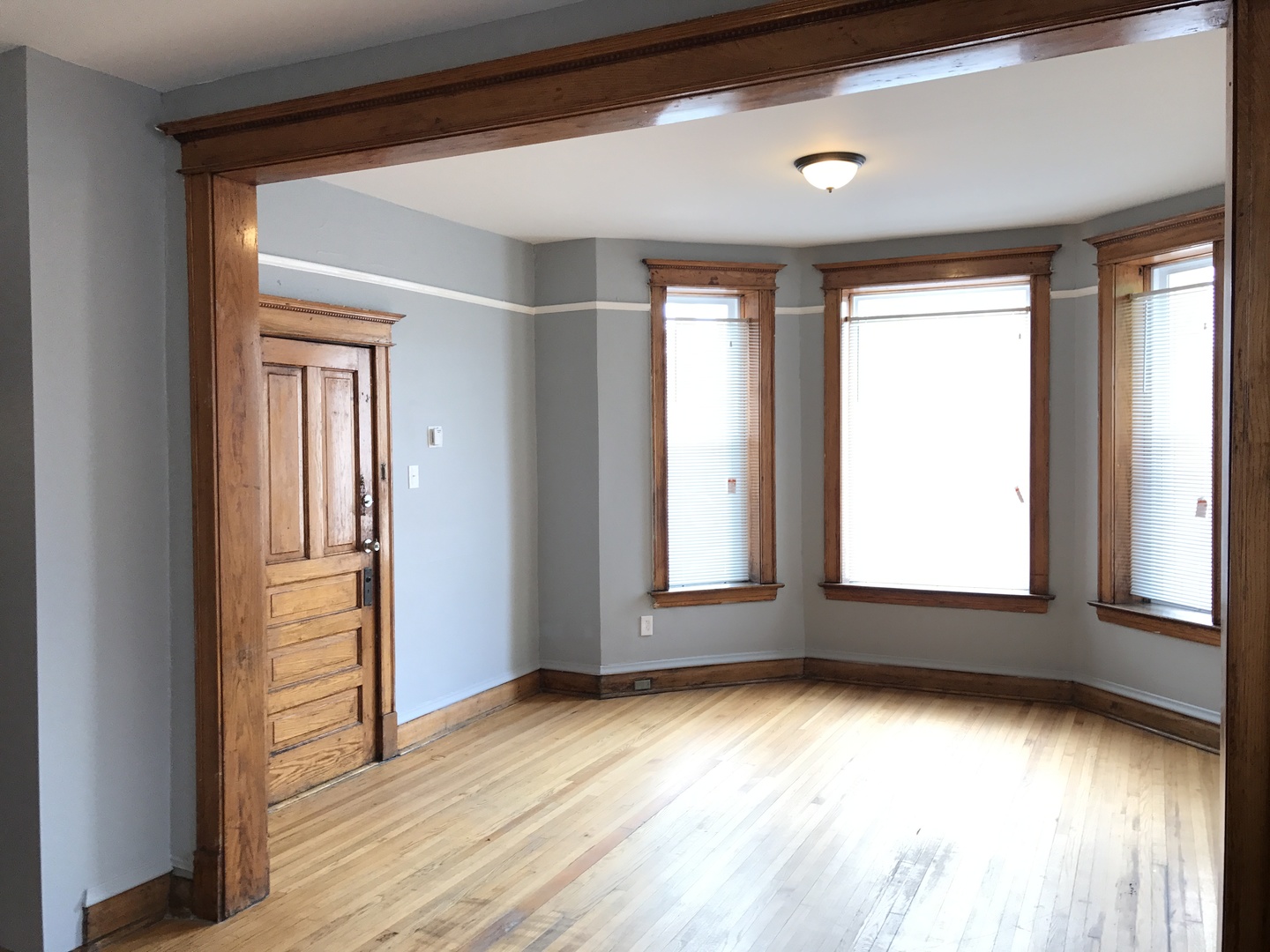 2215 South Albany Avenue, Unit 1F Chicago, IL 60623 - Photo 2 of 19