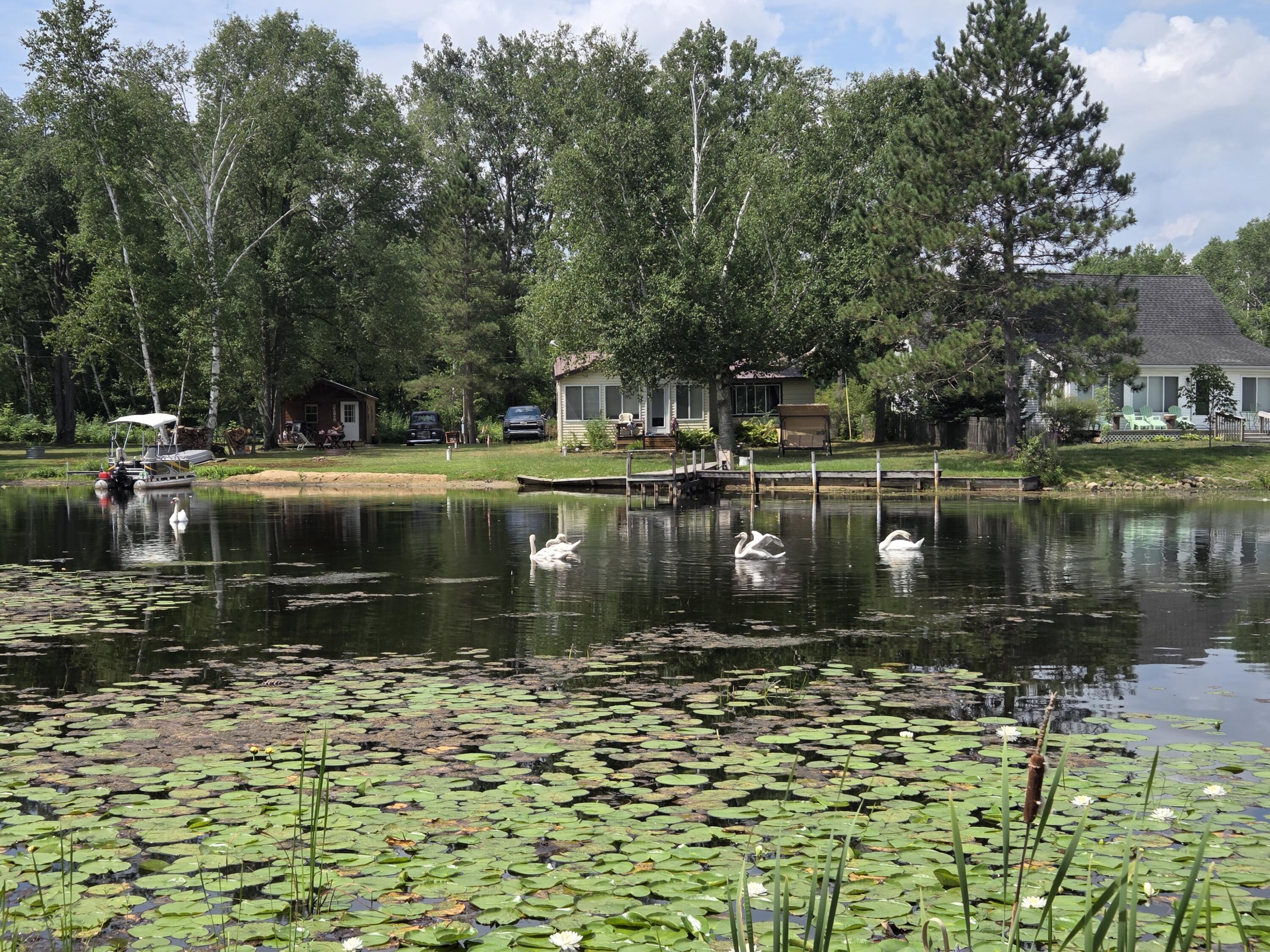 4790 4th Street Barryton, MI 49305 - Photo 23 of 29 #19 Swans