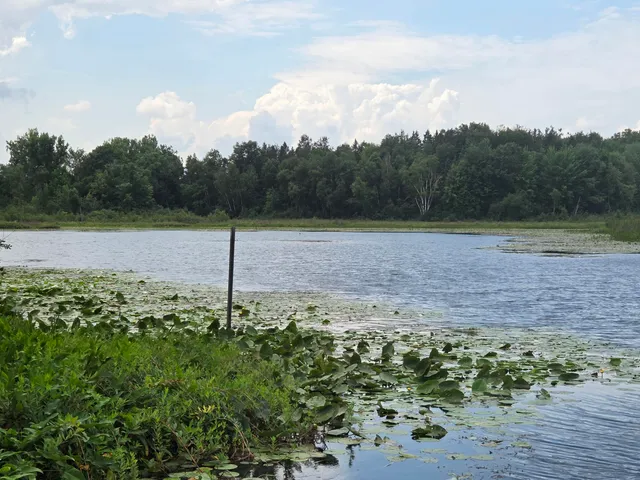 $229,000 | 4790 4th Street, Barryton, MI 49305