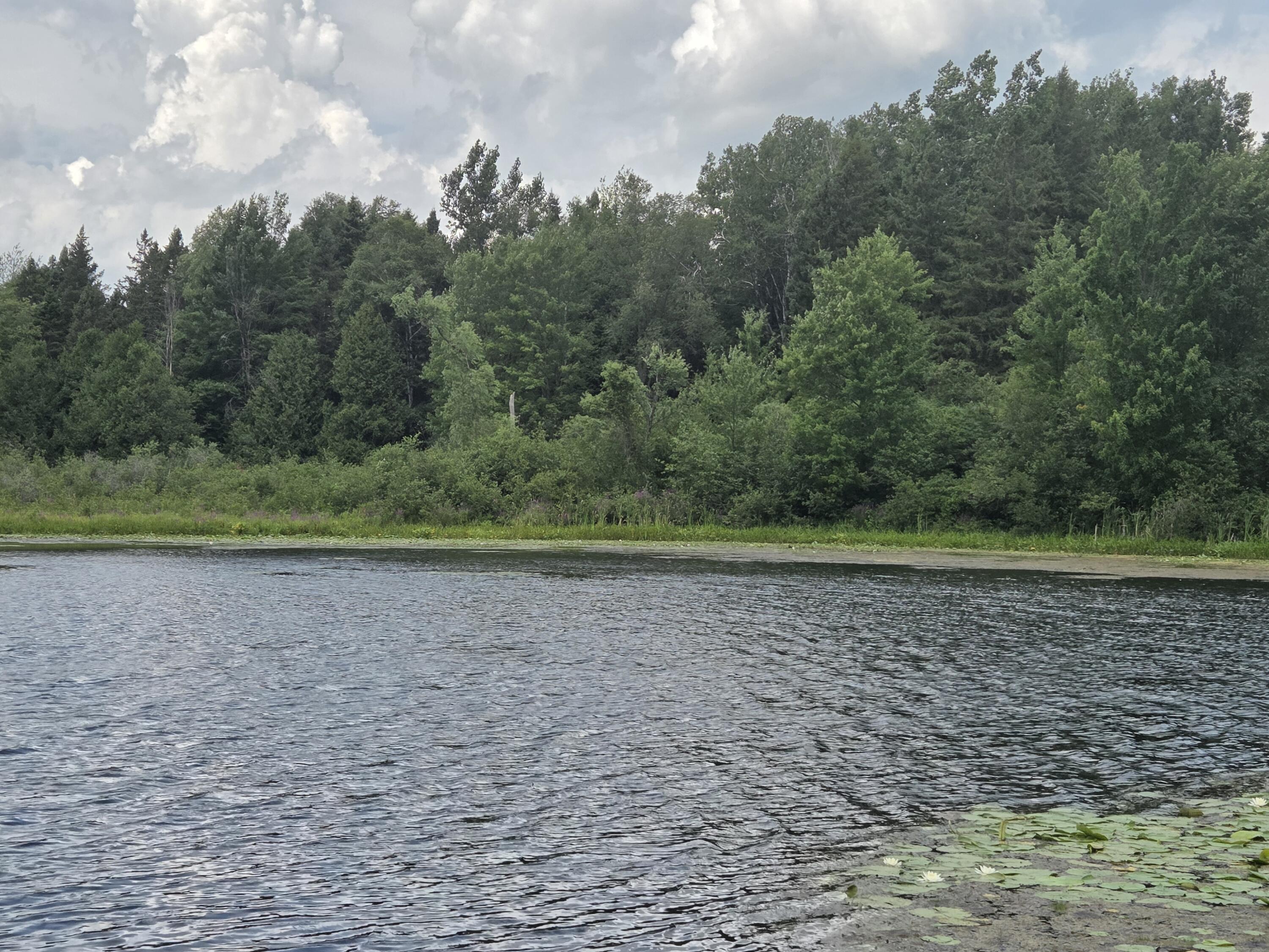 4790 4th Street Barryton, MI 49305 - Photo 25 of 29 #21 Water