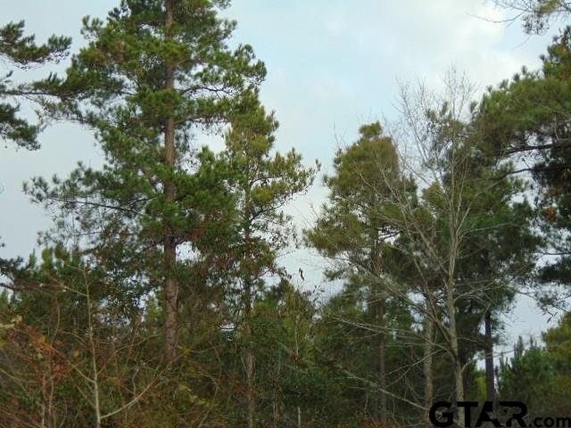 3900-c R 1405th Jacksonville, TX 75766 - Photo 1 of 1
