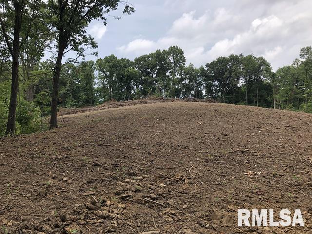 0 Blue Ridge Road Hamburg, IL 62045 - Photo 14 of 44 Gallery Image 14
