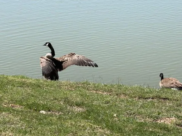 $369,000 | 8729 Lake Meadows Lane, Fort Worth, TX 76053