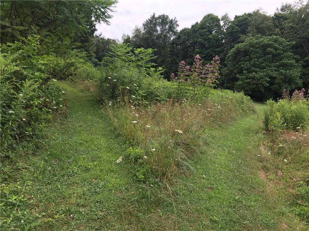 51 Perryopolis Pa Perryopolis, PA 15473 - Photo 3 of 10