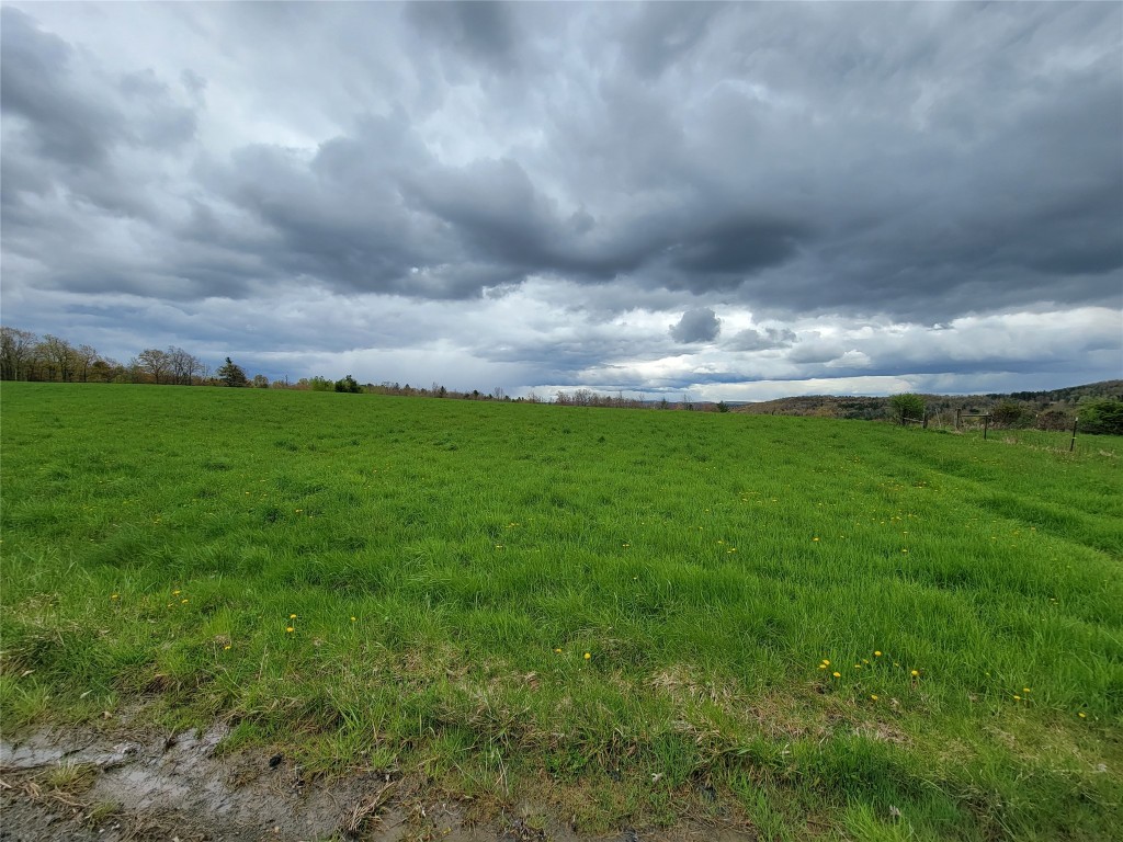 0 Welch Road Owego, NY 13827 - Photo 5 of 6 Gallery Image 5