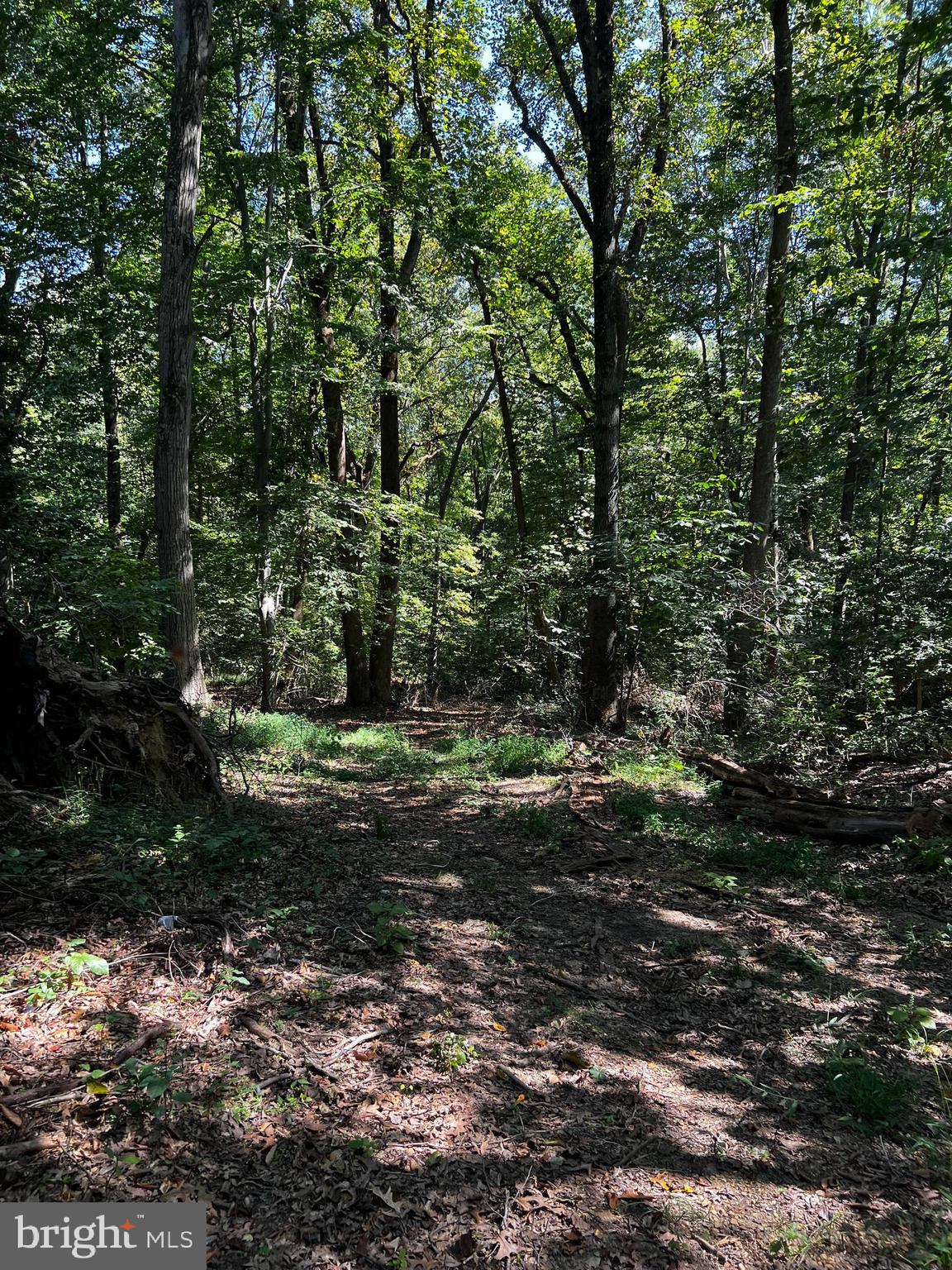 320 Farmington Road West Accokeek, MD 20607 - Photo 1 of 13