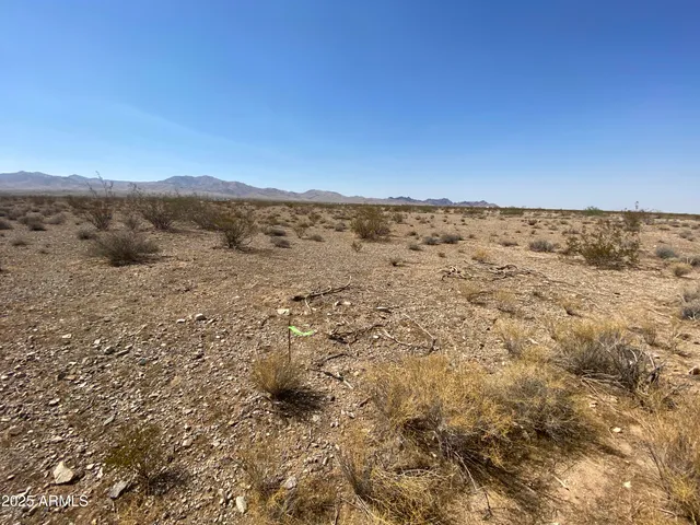 $3,000 | Xxxxx North Xxxxx N Phillip (lot 354) Road, Unit 354, Dolan Springs, AZ 86441