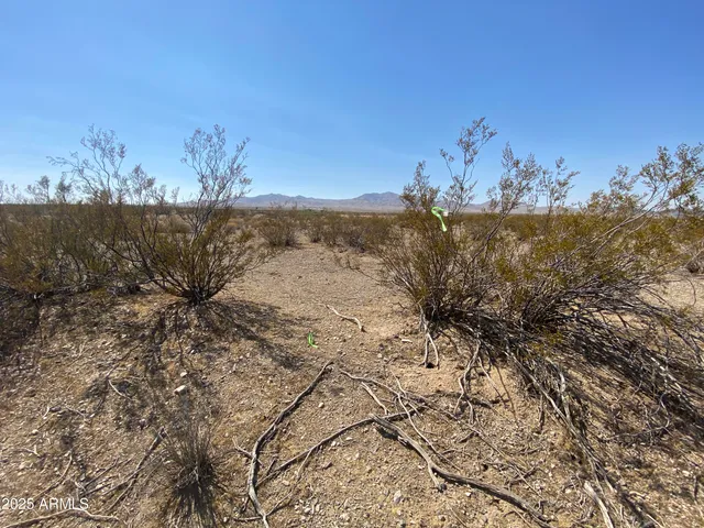 $3,000 | Xxxxx North Xxxxx N Phillip (lot 354) Road, Unit 354, Dolan Springs, AZ 86441