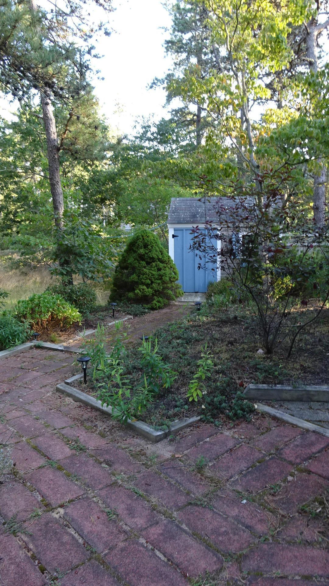 1030 Ridge Road Wellfleet, MA 02667 - Photo 11 of 51 DSC02556