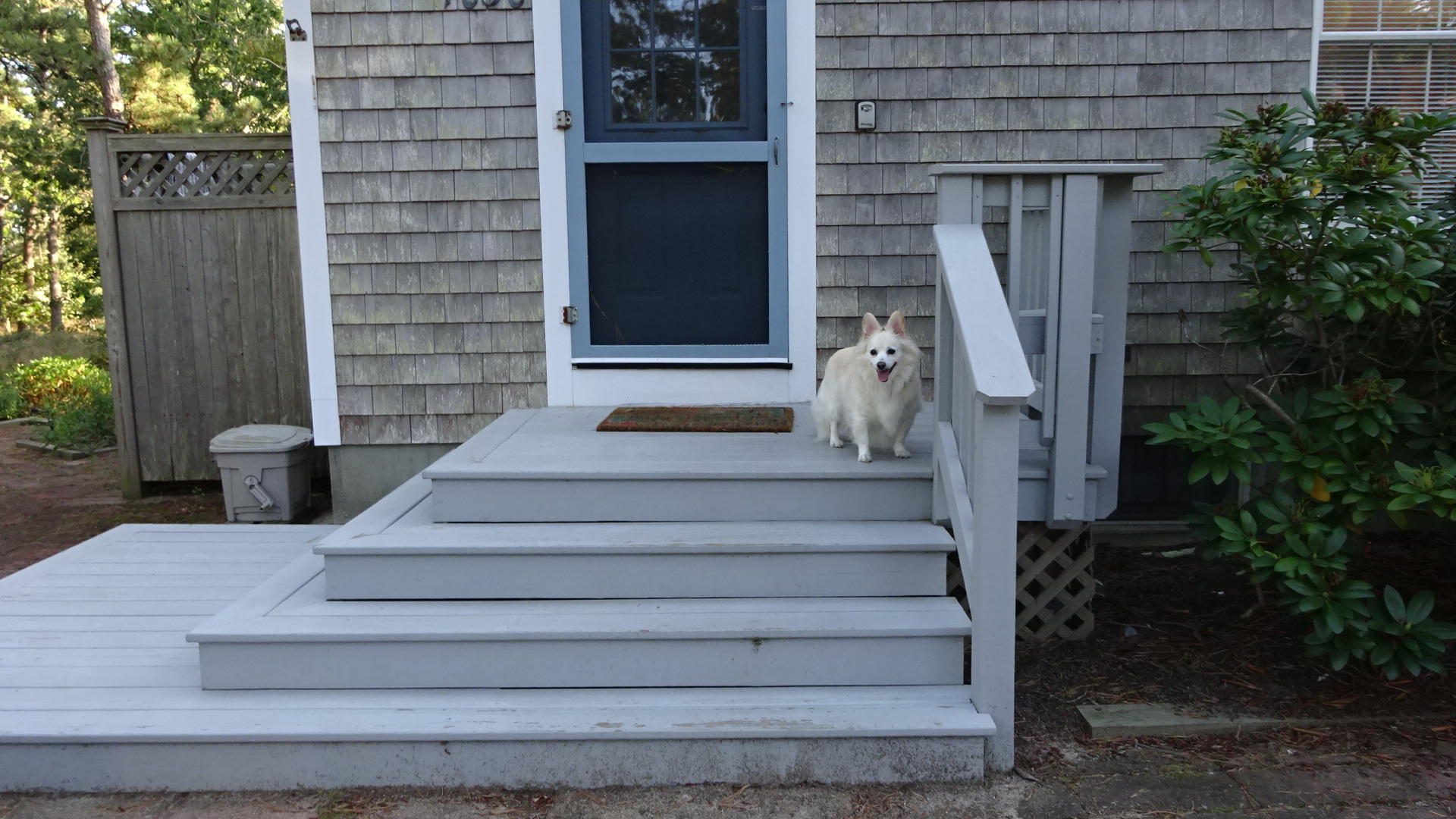 1030 Ridge Road Wellfleet, MA 02667 - Photo 15 of 51 DSC02498 (1)