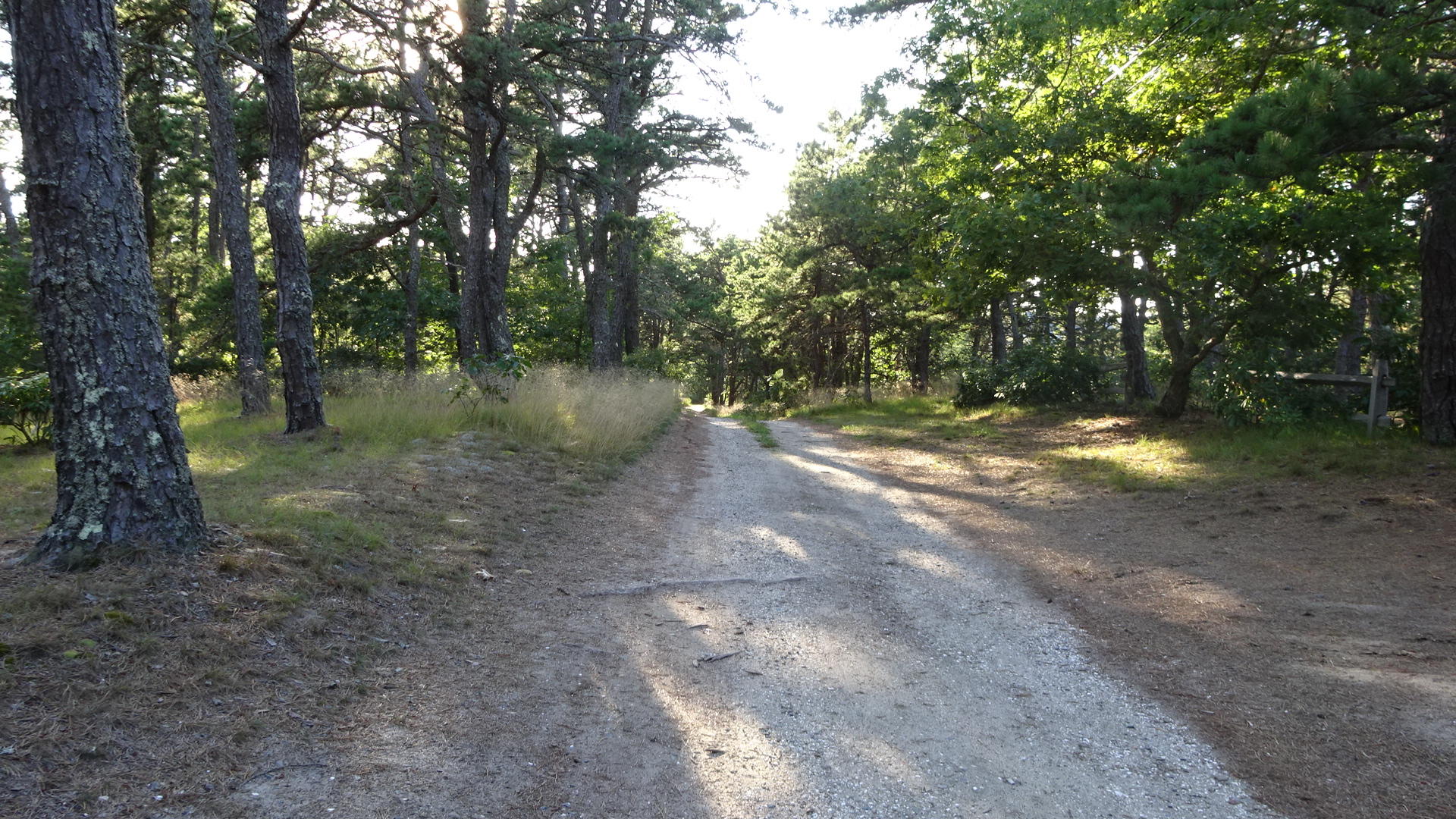 1030 Ridge Road Wellfleet, MA 02667 - Photo 2 of 51 DSC02484