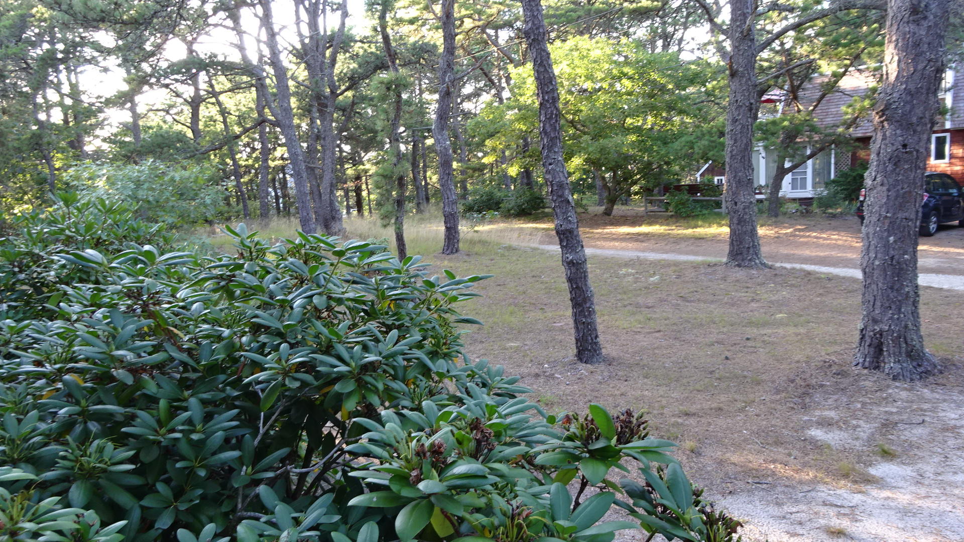 1030 Ridge Road Wellfleet, MA 02667 - Photo 46 of 51 DSC02554