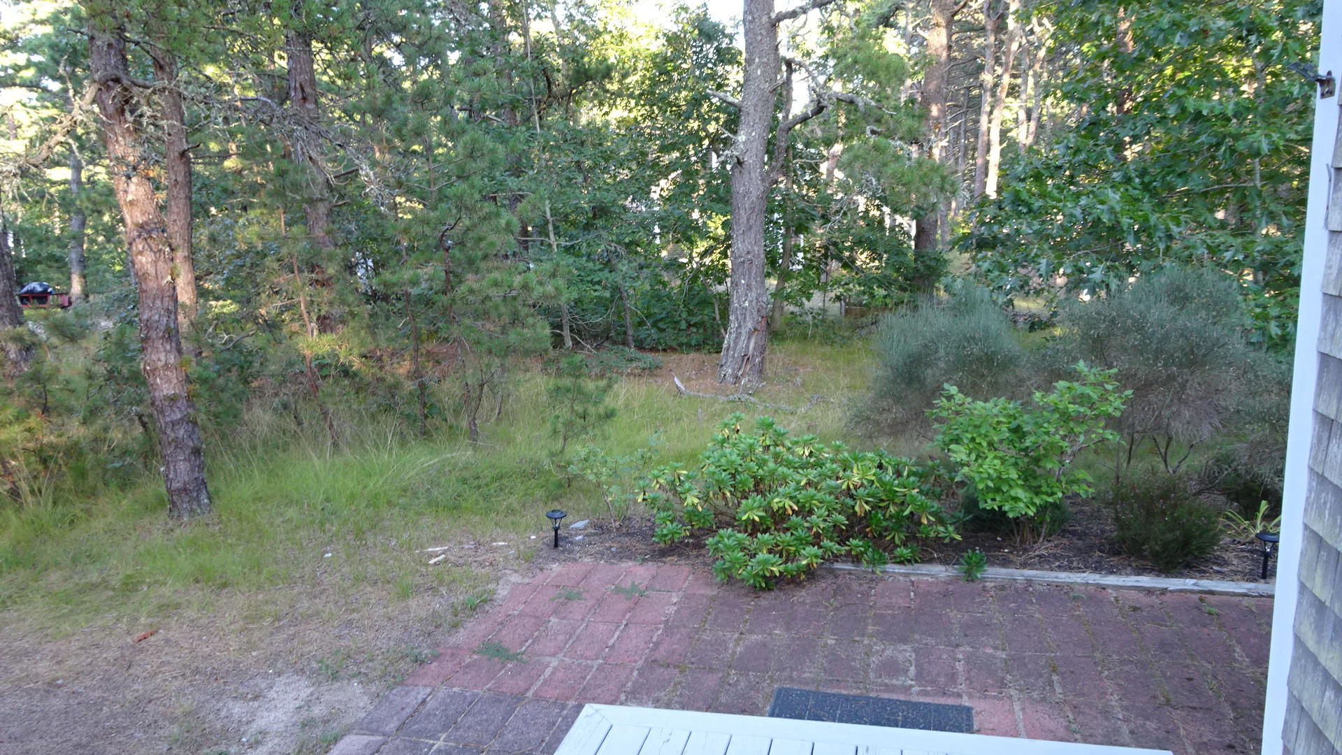 1030 Ridge Road Wellfleet, MA 02667 - Photo 47 of 51 DSC02555