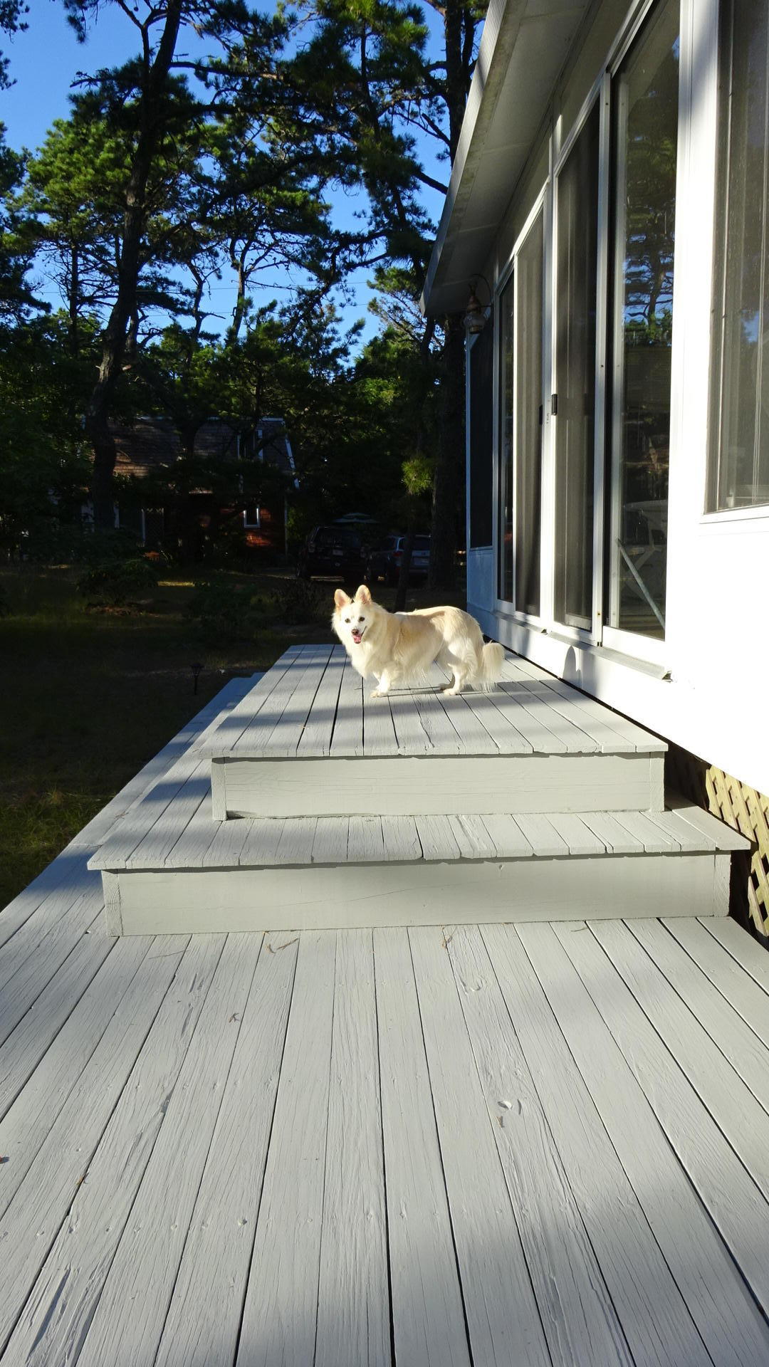 1030 Ridge Road Wellfleet, MA 02667 - Photo 6 of 51 DSC02493