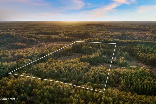 $120,000 | Xxx Fortune Pond Road, Unit SOUTH 20 ACRES), Vernon, FL 32462