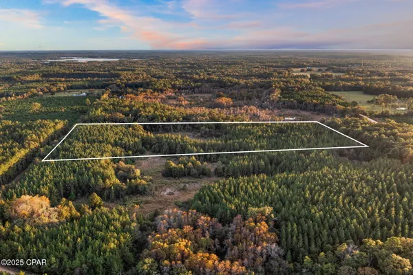 $100,000 | Xxx Fortune Pond Road, Unit SOUTH 20 ACRES), Vernon, FL 32462