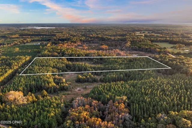 $120,000 | Xxx Fortune Pond Road, Unit SOUTH 20 ACRES), Vernon, FL 32462