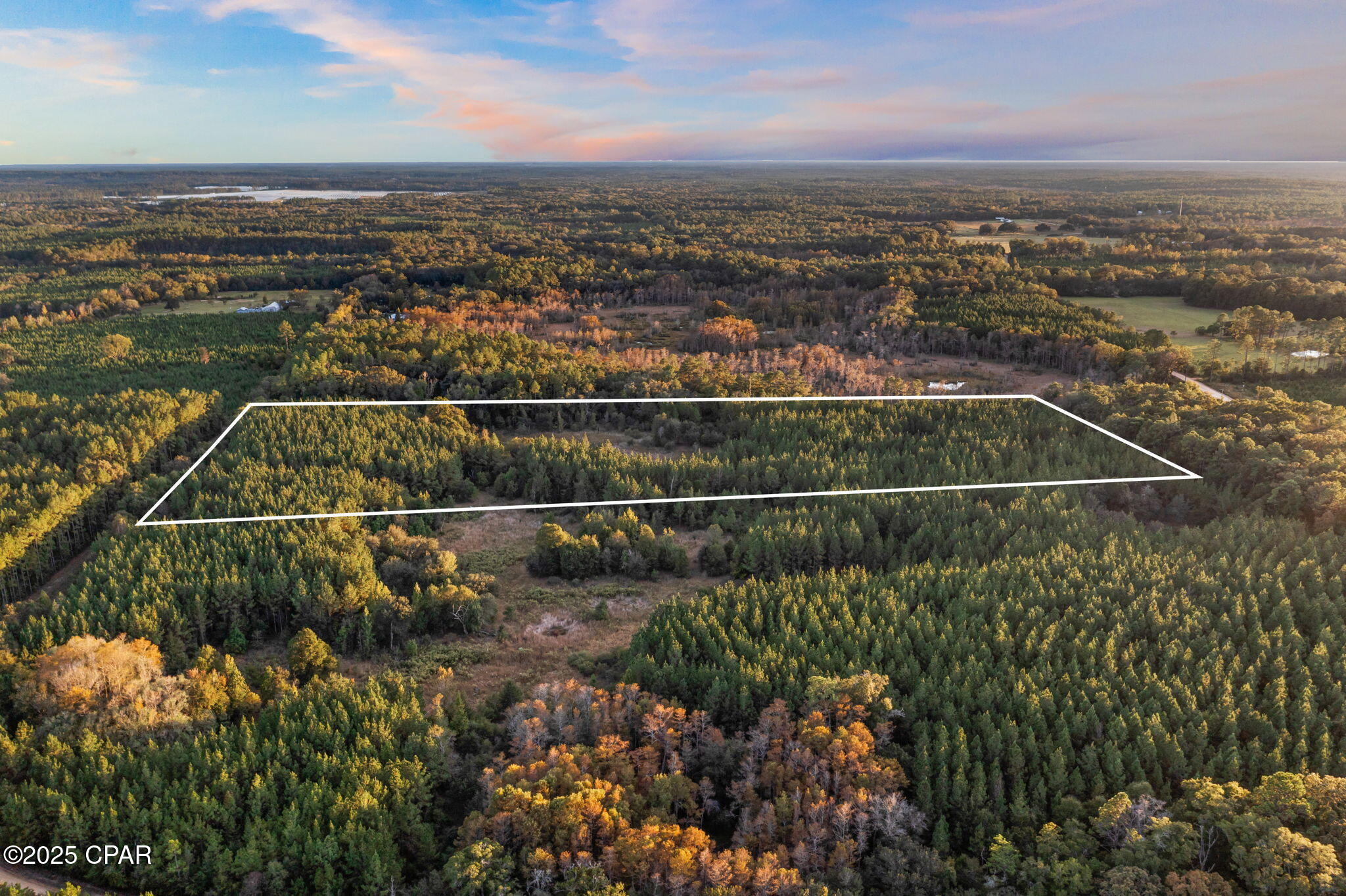 Xxx Fortune Pond Road, Unit SOUTH 20 ACRES) Vernon, FL 32462 - Photo 3 of 4