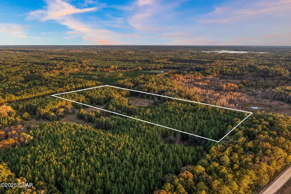 $100,000 | Xxx Fortune Pond Road, Unit SOUTH 20 ACRES), Vernon, FL 32462