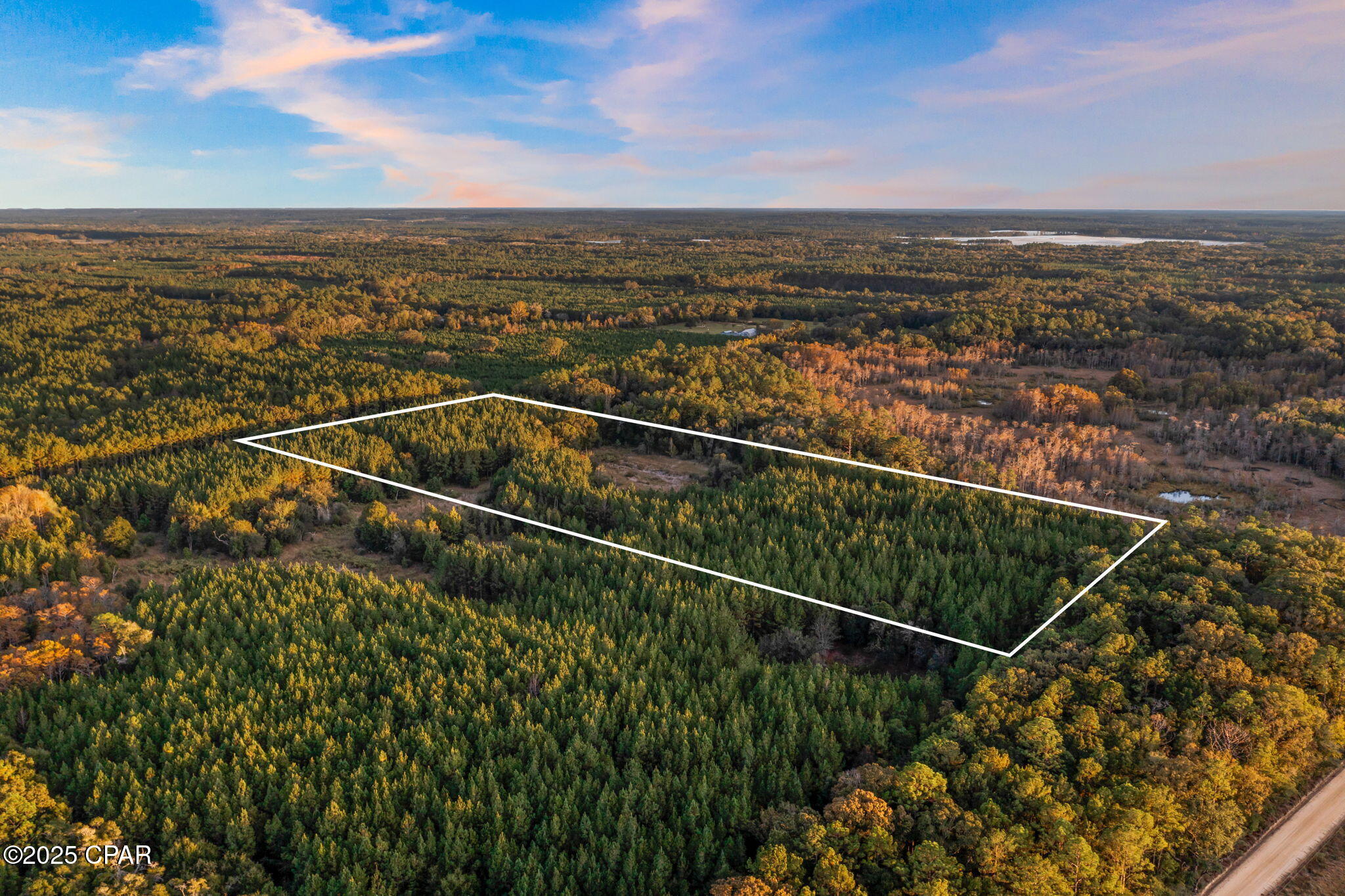 Xxx Fortune Pond Road, Unit SOUTH 20 ACRES) Vernon, FL 32462 - Photo 4 of 4