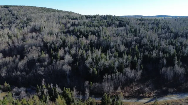 $49,900 | M5-l46d Black Bear Avenue, Frenchville, ME 04745