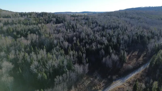 $49,900 | M5-l46d Black Bear Avenue, Frenchville, ME 04745