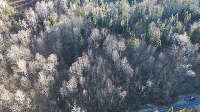 $49,900 | M5-l46d Black Bear Avenue, Frenchville, ME 04745