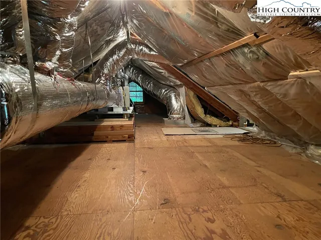 a view of a forest with lots of trees