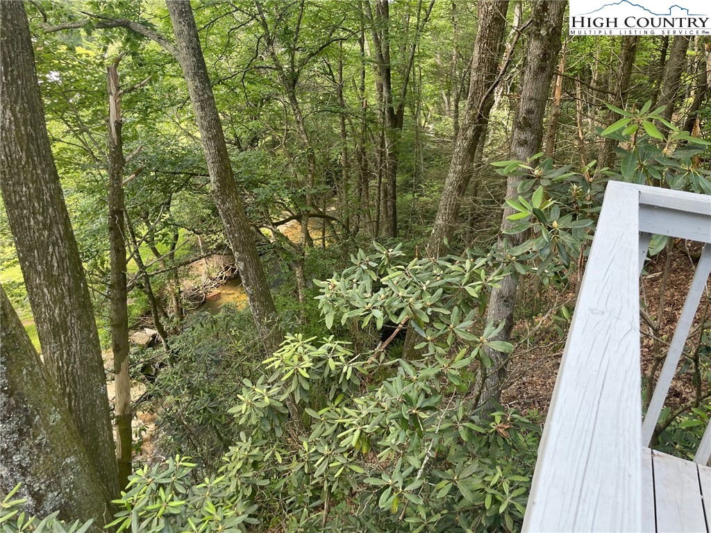 217 Holiday Hills Drive Boone, NC 28607 - Photo 37 of 47 a view of a yard with plants and large trees