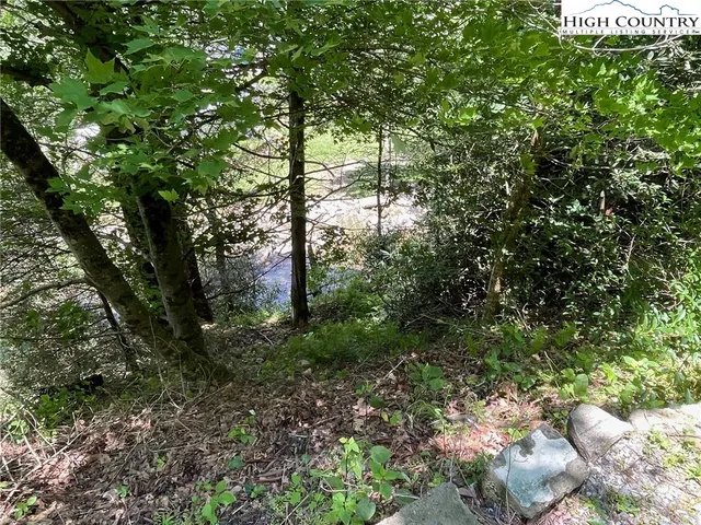 a view of a pathway with a yard