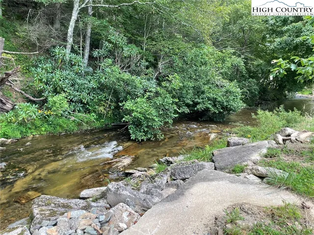 a view of a yard with plants and large trees