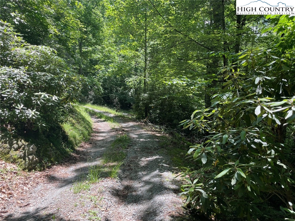 217 Holiday Hills Drive Boone, NC 28607 - Photo 41 of 47 a backyard of a house with a yard and outdoor seating