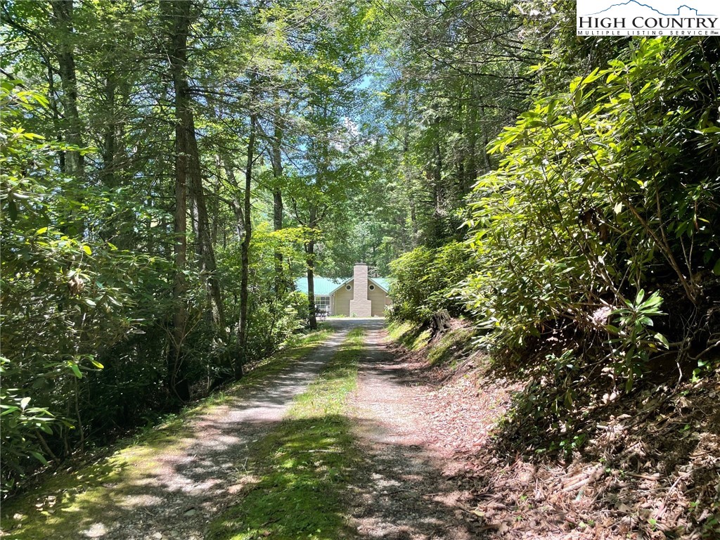 217 Holiday Hills Drive Boone, NC 28607 - Photo 42 of 47 a view of a yard with plants and large trees