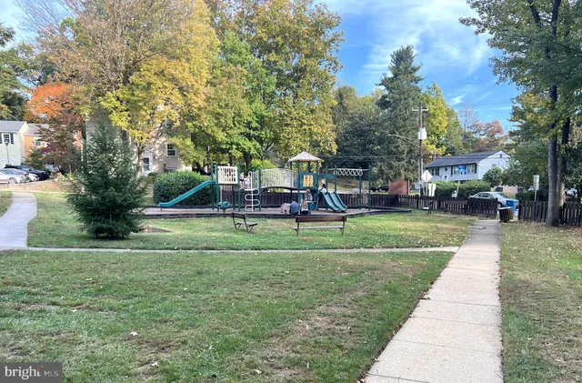 a view of a park with large trees