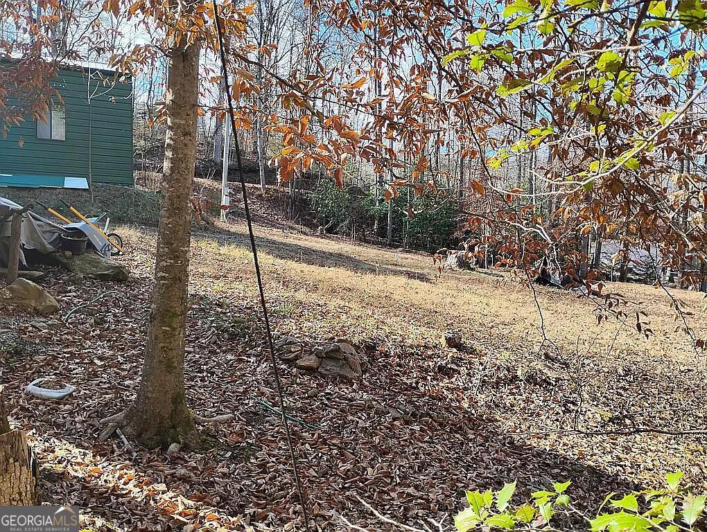 4720 Jones Gap Road Hiawassee, GA 30546 - Photo 2 of 10