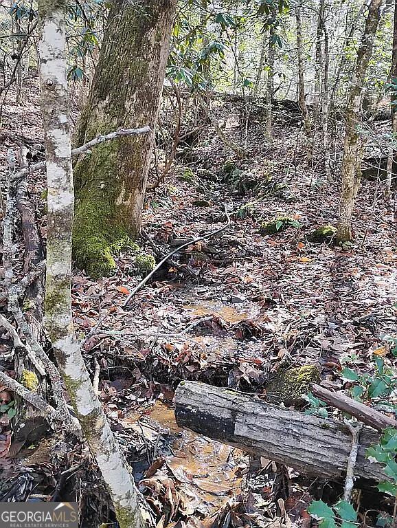 4720 Jones Gap Road Hiawassee, GA 30546 - Photo 3 of 10