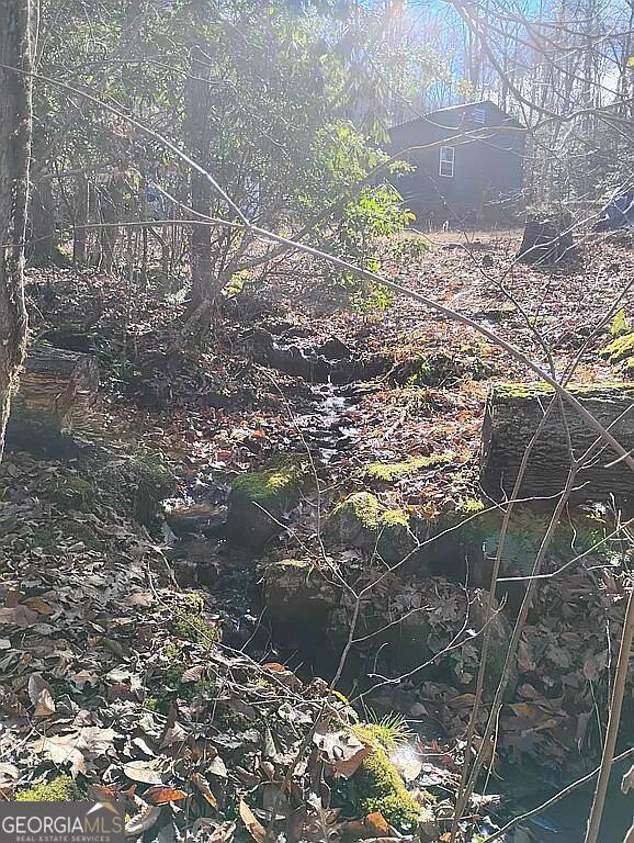 4720 Jones Gap Road Hiawassee, GA 30546 - Photo 4 of 10