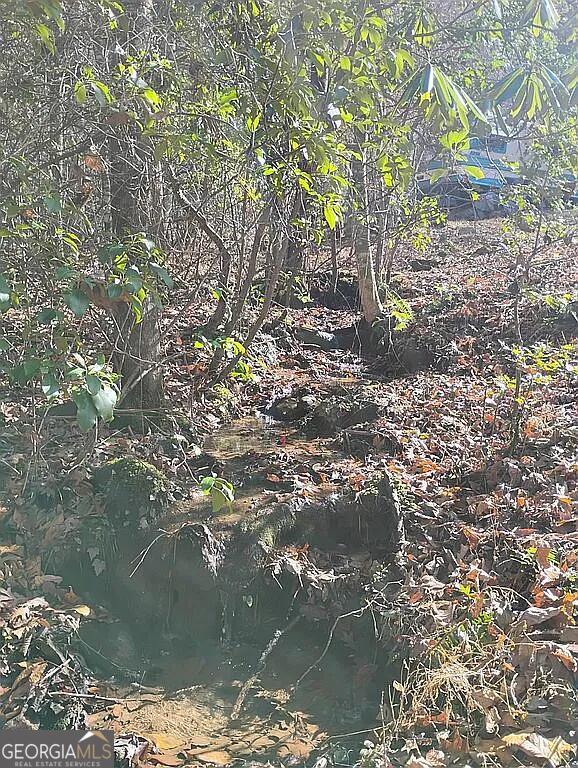 4720 Jones Gap Road Hiawassee, GA 30546 - Photo 5 of 10