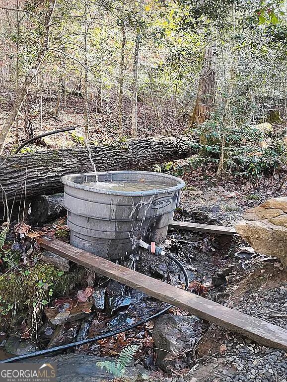 4720 Jones Gap Road Hiawassee, GA 30546 - Photo 6 of 10