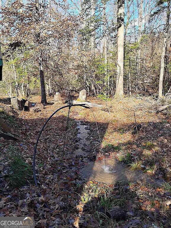 4720 Jones Gap Road Hiawassee, GA 30546 - Photo 7 of 10