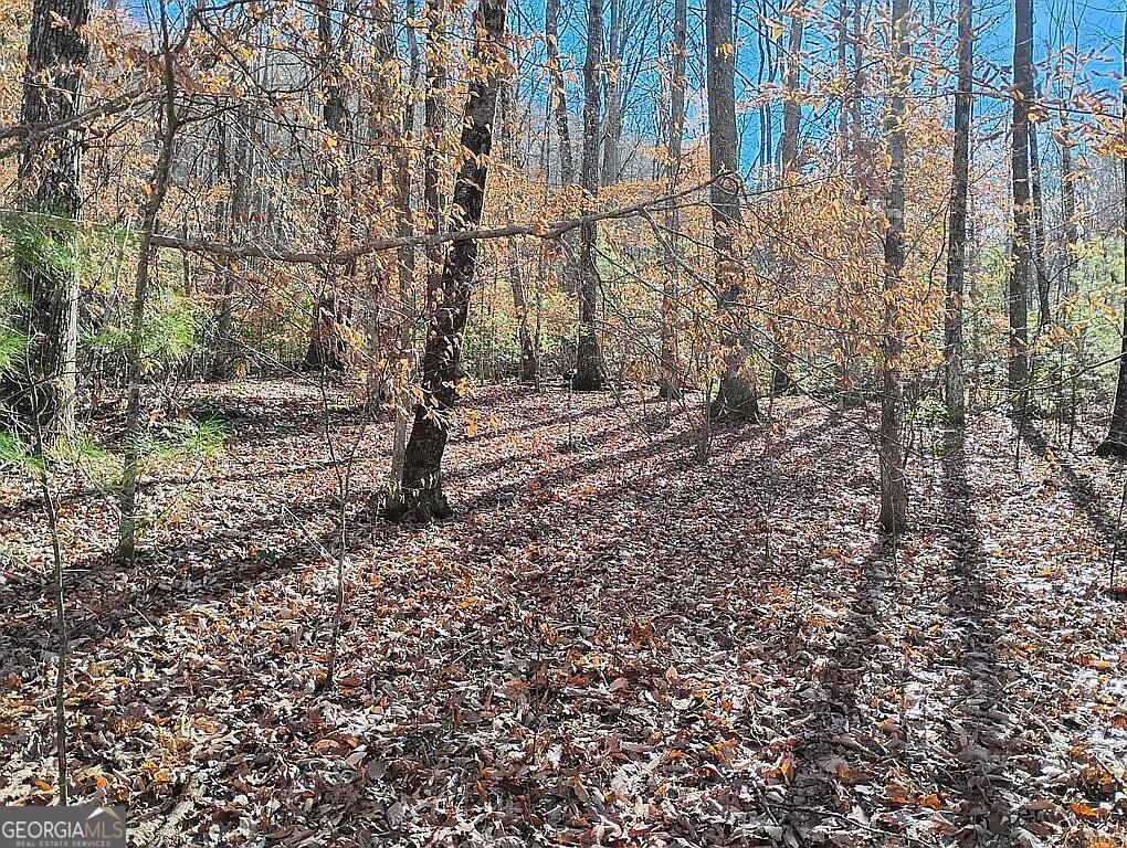 4720 Jones Gap Road Hiawassee, GA 30546 - Photo 8 of 10