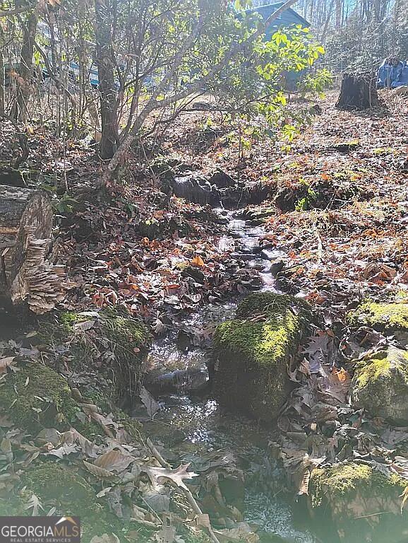 4720 Jones Gap Road Hiawassee, GA 30546 - Photo 9 of 10