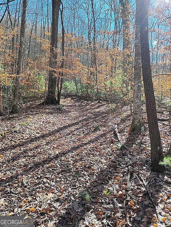 4720 Jones Gap Road Hiawassee, GA 30546 - Photo 10 of 10