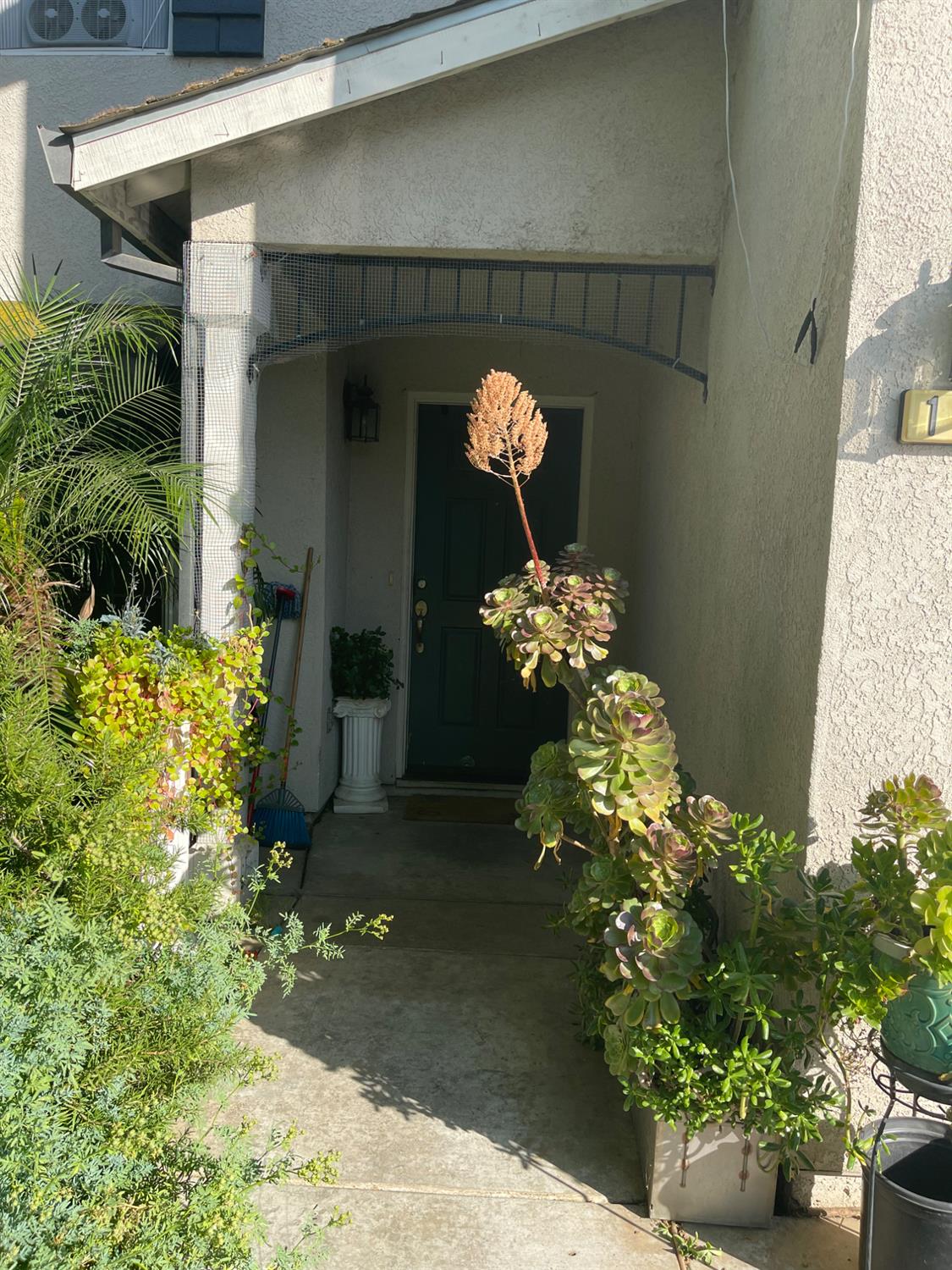 1242 Sunup Drive Merced, CA 95348 - Photo 2 of 3 a front view of a house with a yard
