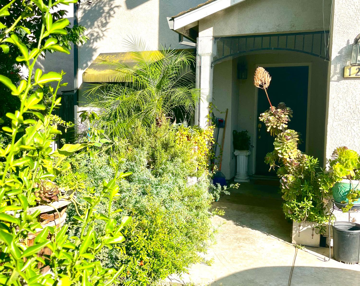 1242 Sunup Drive Merced, CA 95348 - Photo 3 of 3 a vase of flowers sitting in front of a yellow house