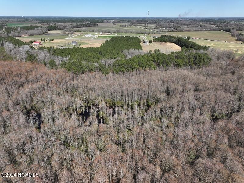 Tbd McGougan Road Lumber Bridge, NC 28357 - Photo 9 of 16 DJI_20240312142519_0139_D