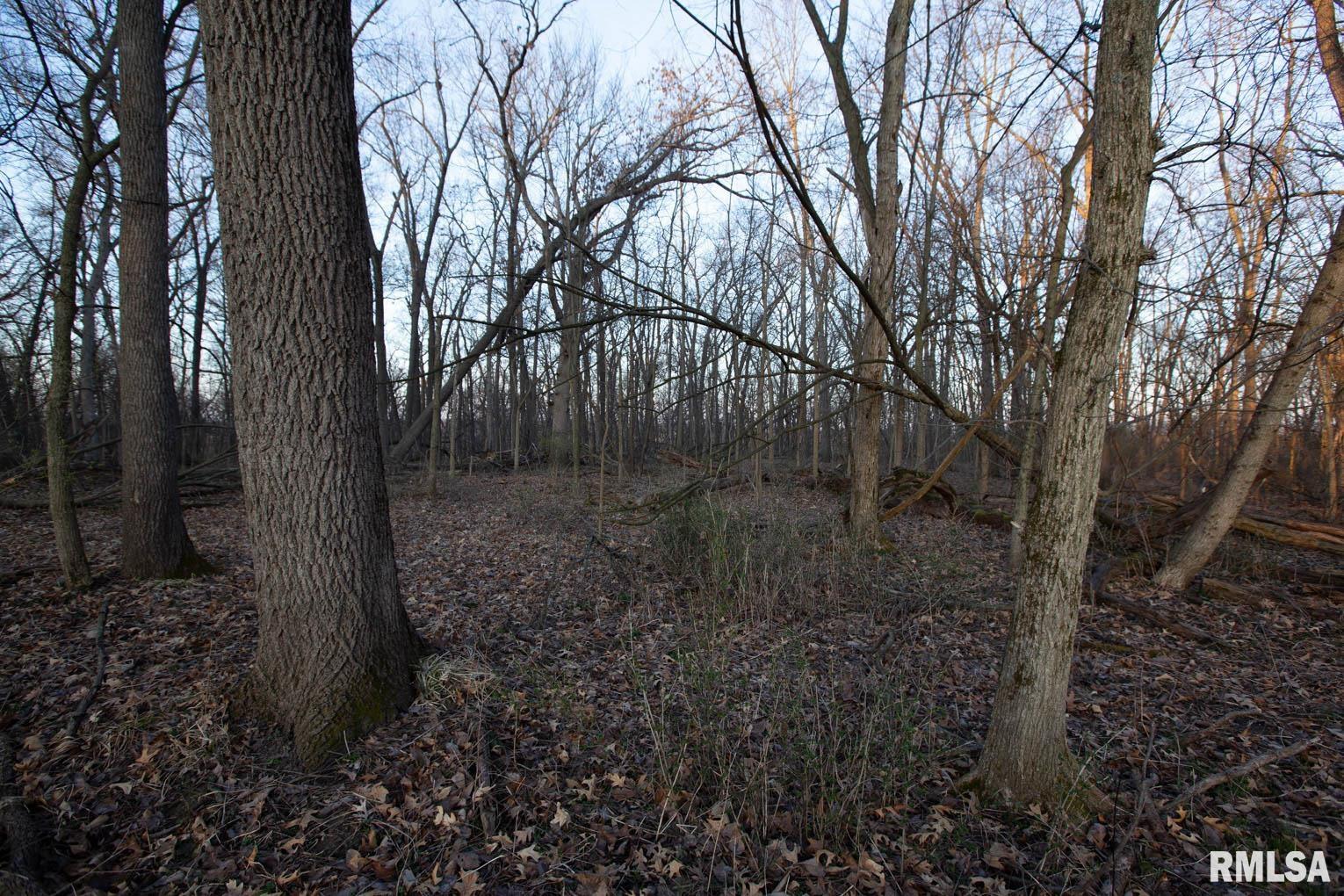 0 West Lafollett Road Brimfield, IL 61517 - Photo 11 of 23