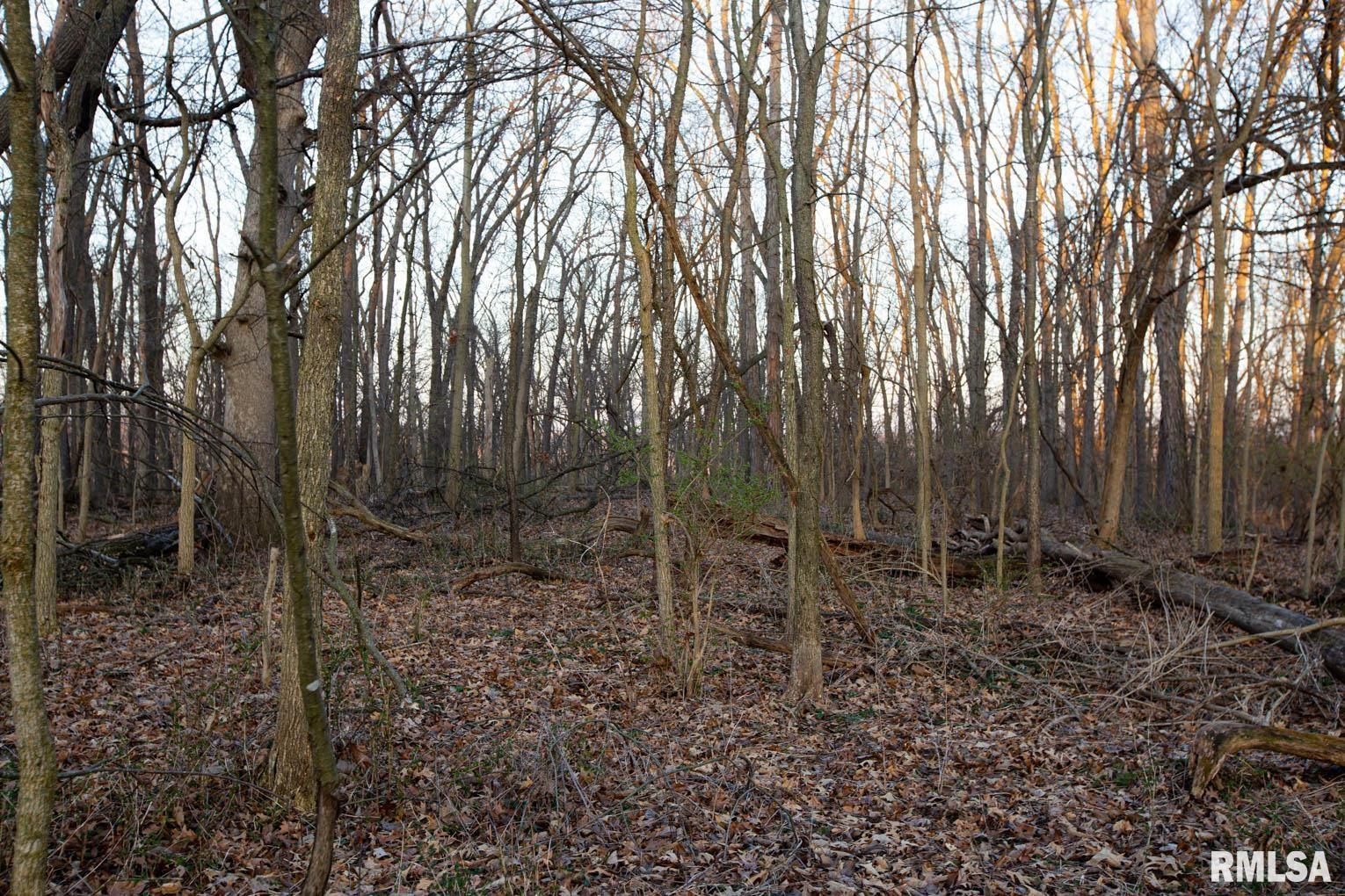 0 West Lafollett Road Brimfield, IL 61517 - Photo 13 of 23