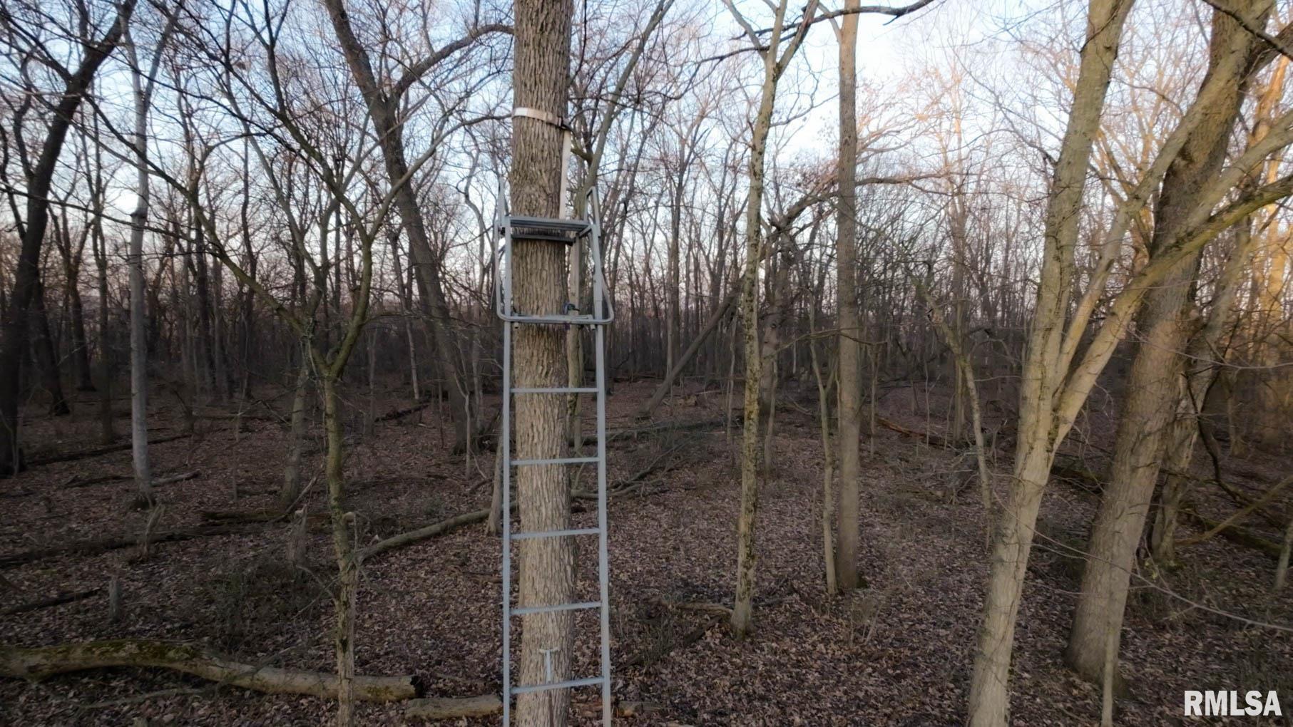 0 West Lafollett Road Brimfield, IL 61517 - Photo 15 of 23